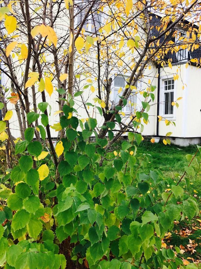 Parkgatan Villa Krylbo المظهر الخارجي الصورة